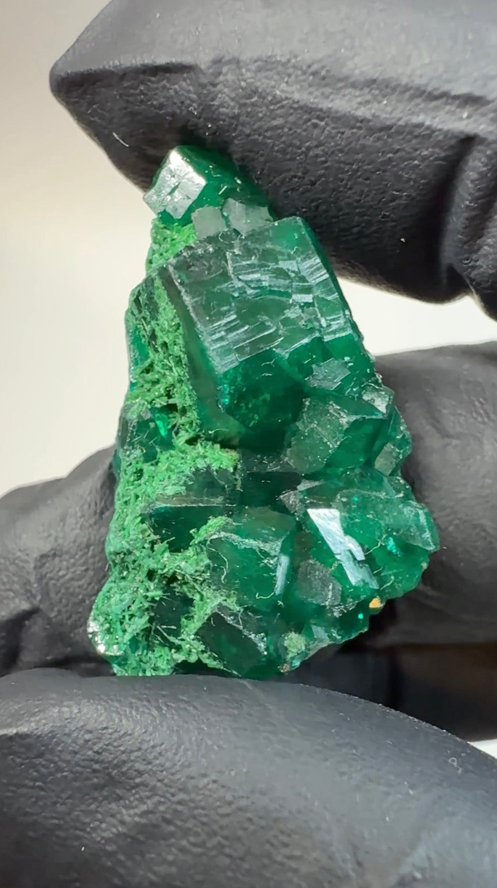 Dioptase Crystal with Malachite - 6.80g
