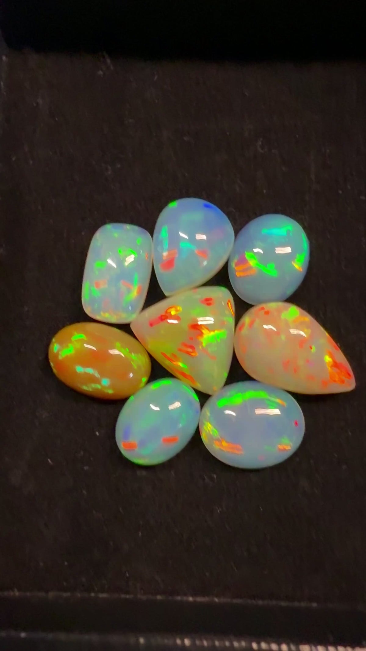 “Parcel of 8 Ethiopian opal cabochons 21.75 ct total”

“Ethiopian Welo opal cabochon parcel natural gemstones”

“8 Ethiopian opal cabochons avg 2.71 ct each”