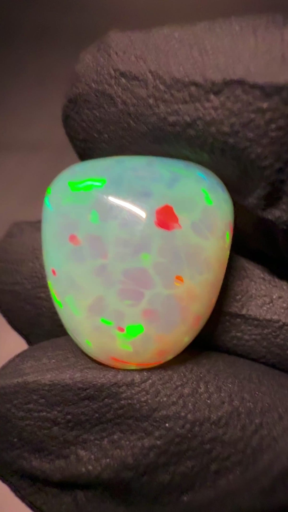“Ethiopian opal freeform cabochon 11 ct natural gemstone”

“11 carat Ethiopian Welo opal freeform cabochon”

“Natural Ethiopian opal cabochon 15.10 × 16.30 × 8.40 mm”